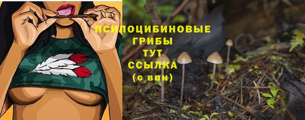 таблы Белокуриха