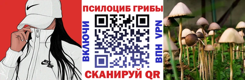 Галлюциногенные грибы ЛСД  KRAKEN сайт  shop Telegram  Нефтекумск 